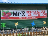 미스터홍 딸기 & 정명도예 도자기 체험장