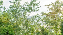 시로리조트&풀빌라