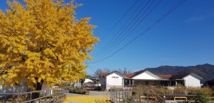 논산서라벌펜션