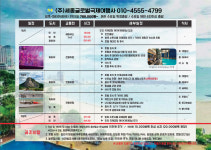 세종글로벌국제여행사