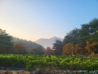 찬물내기관광농원펜션