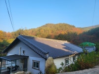 찬물내기관광농원펜션