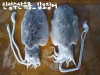 진성수산유통