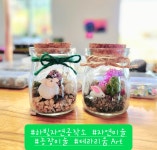 하빛자연공작소/하빛율빠꿈사리