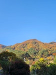 허브건강센타