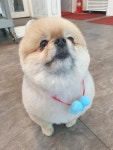 산새 북카페