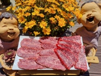 철마대가한우직판장