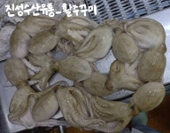 진성수산유통