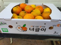 태환이네 귤농장