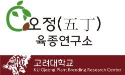 오정육종연구소