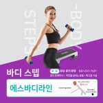 에스바디라인휘트니스
