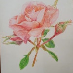 스튜디오 쿤스트