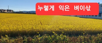 복동농장