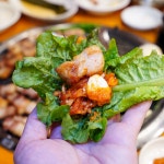 화신돼지