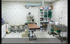 타브로항외과의원