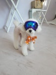 몽실묭실
