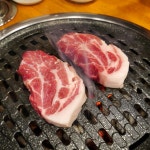 화신돼지
