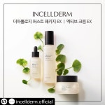 인셀덤 네스트