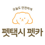 펫택시펫카