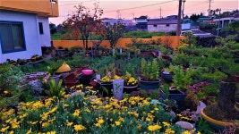 하얀도화지 민박