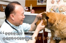 윤신근동물병원