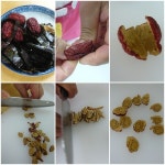 영농조합법인단드레한과