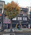 위너