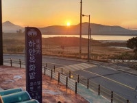 바닷가하얀목화밭