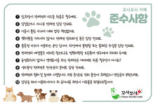 꼬사꼬사카페