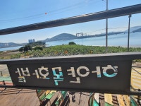 바닷가하얀목화밭