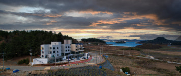 바닷가하얀목화밭