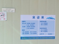 삼일손세차