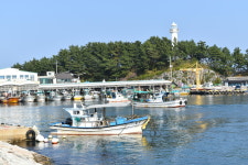 타워민박