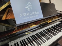 드림위드피아노교습소