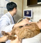 24시부천이지동물의료센터