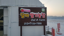달아딸기농장