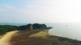 백사장사계절숲속캠핑장