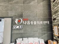24시 나음동물의료센터