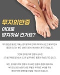 귀족미가
