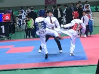 태풍태권도체육관