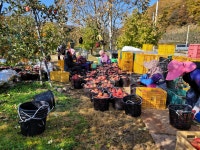 청송외갓집농장