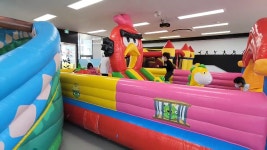 용인대 홍익태권도