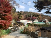숲속에바다