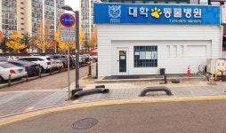 대학동물병원