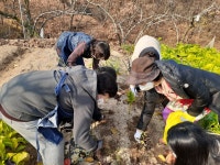 봉화골 이화팜