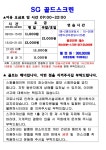 골드스크린골프