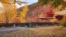 더빈스커피