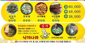 낙지나라