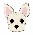 만두네 애견미용실