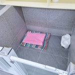 댕댕큘럼 애견유치원